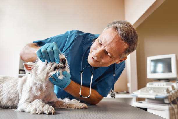 Best Emergency Tooth Extraction in Hurricane, UT