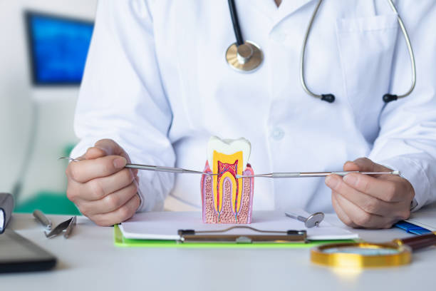 Best Emergency Root Canal Treatment in Hurricane, UT